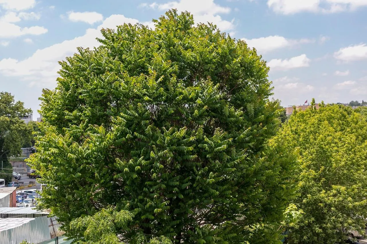 Hotel Uemit Yenikapi اسطنبول